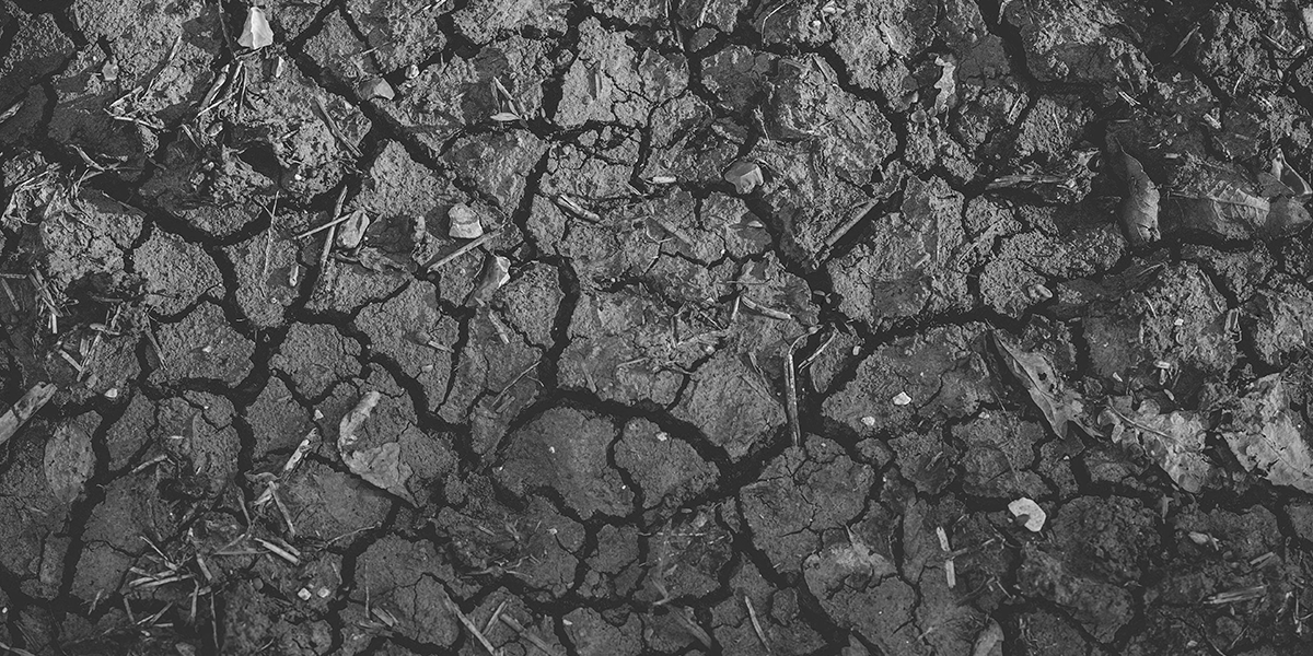Greyscale image of dry and cracked dirt/mud